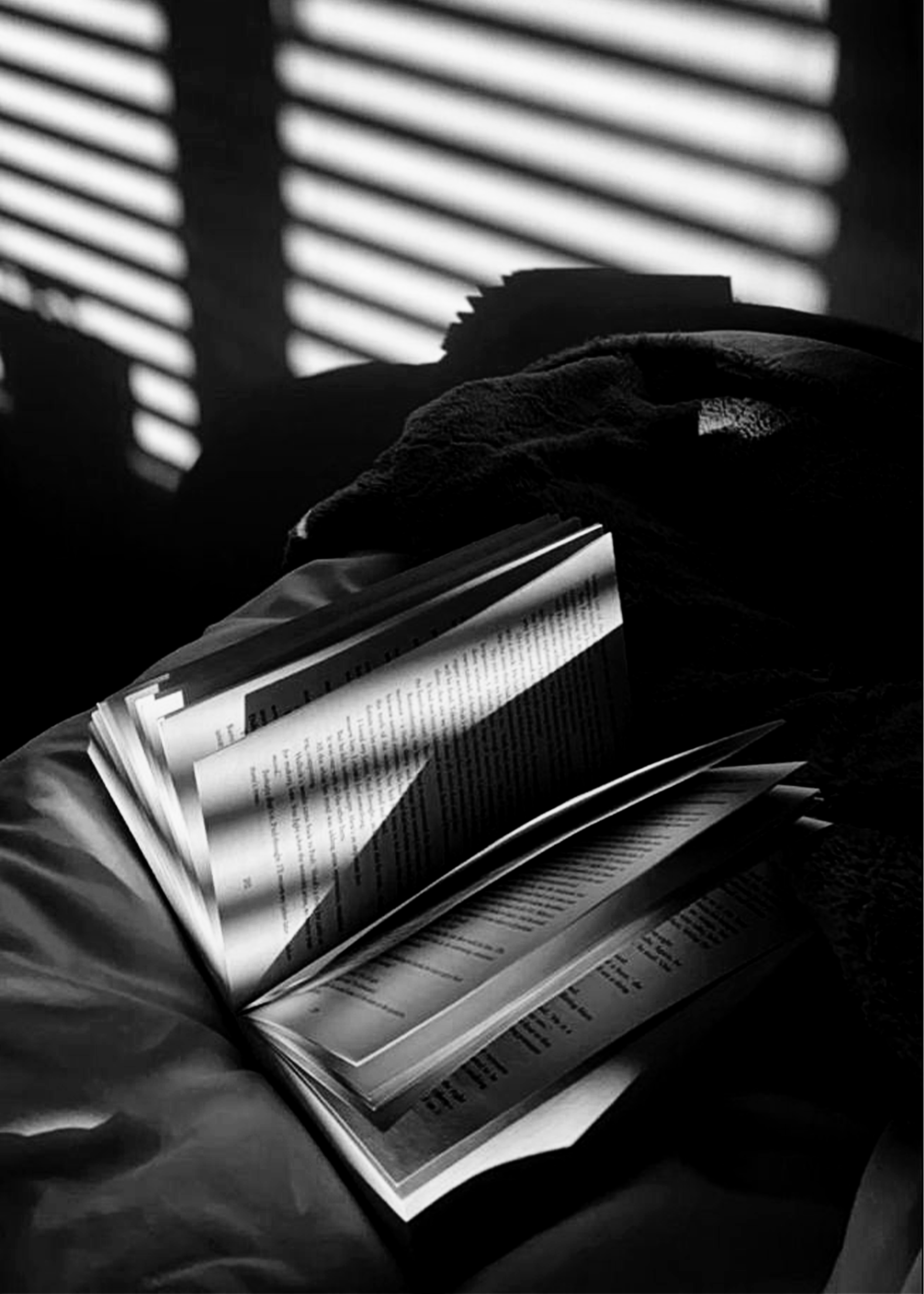 🌺 Jardin Secret – Collection